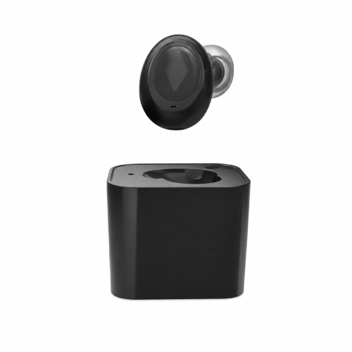 hearing03